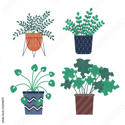 Plants growing in pots vector, herbs and foliage with different shape of leaves. Summer plantation, vegetation for home decor, vases for house set
