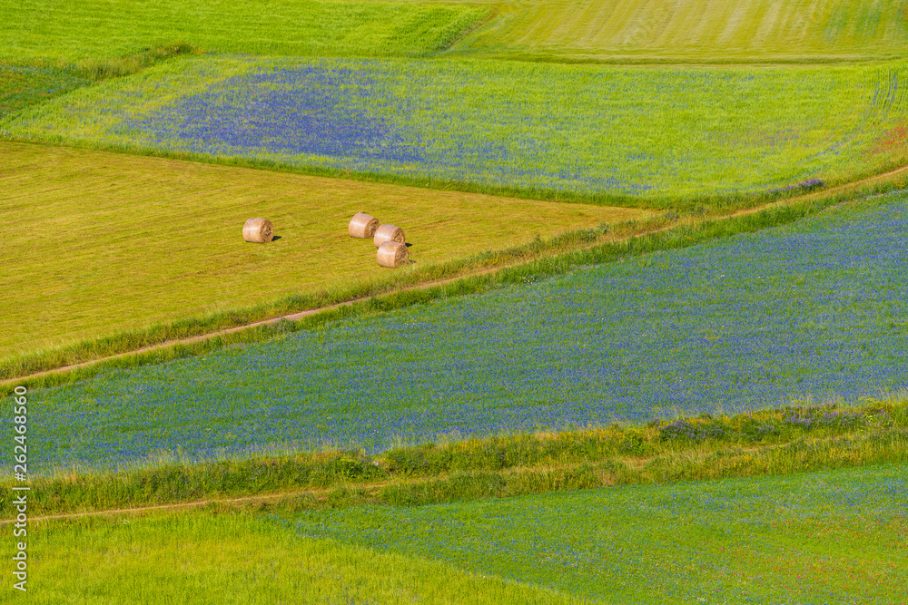 Naklejka premium Plans Castelluccio in Italy
