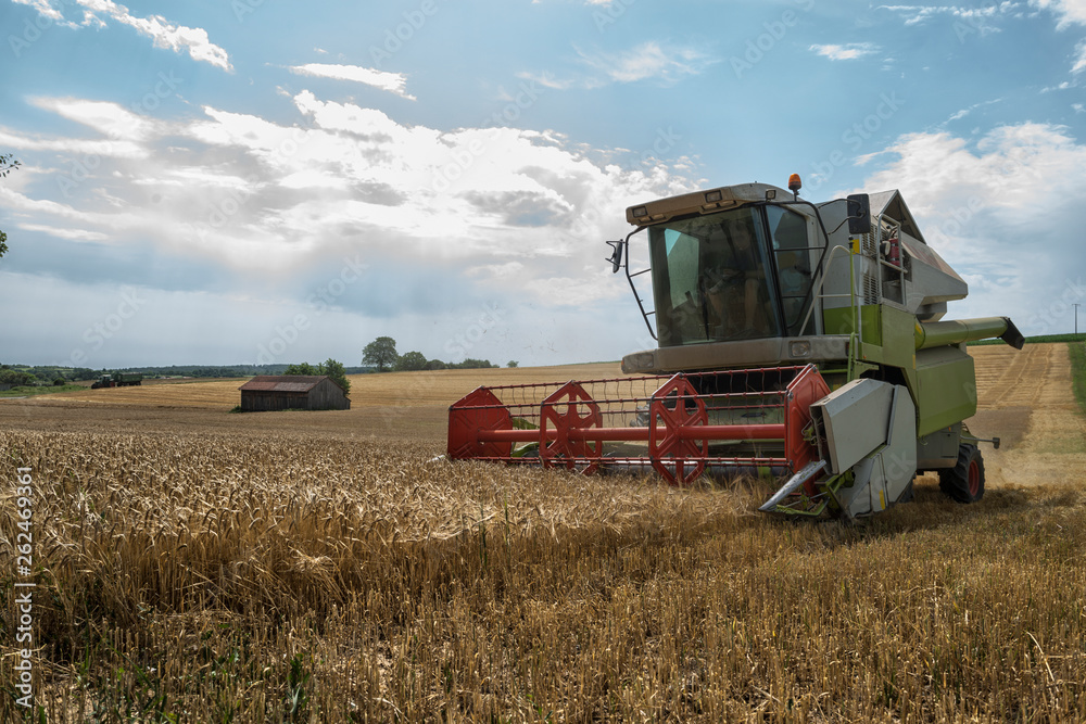 © Eddie_McQueen - Getreideernte © Eddie_McQueen - Getreideernte