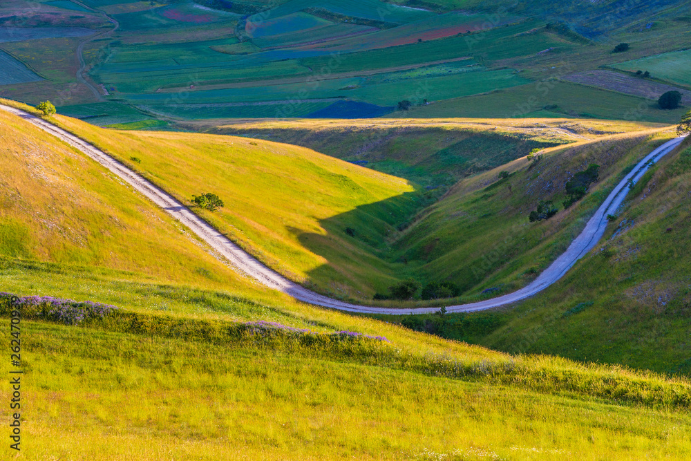 Obraz premium Plans Castelluccio in Italy