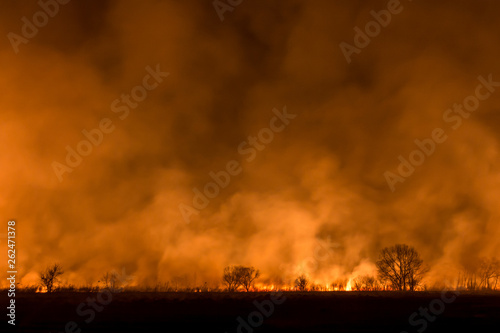 Photography of wildfire on the field with burning grass and trees at night