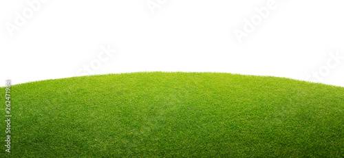 Tableau sur toile a green grass isolated background