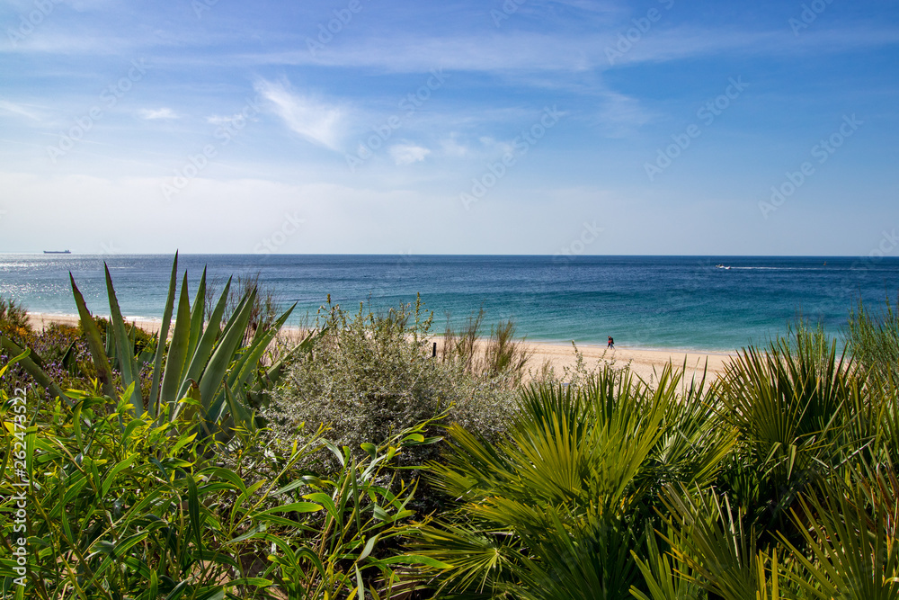 beach landscape with vegetation in the foreground