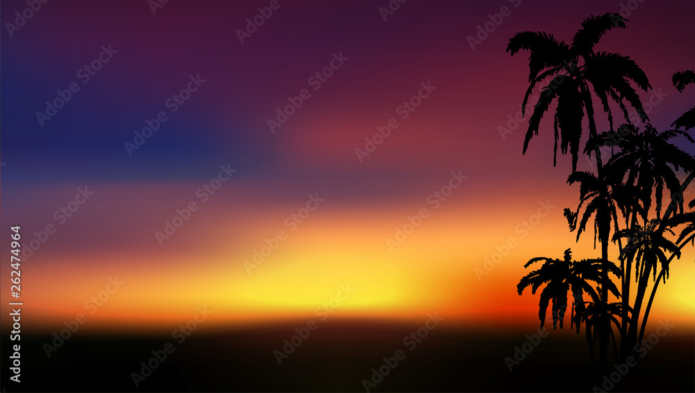 Tropical sunset view with palm trees and sun light. Vector image.