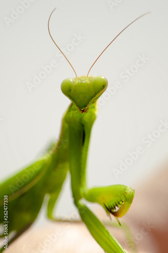 I've got my eyes on you