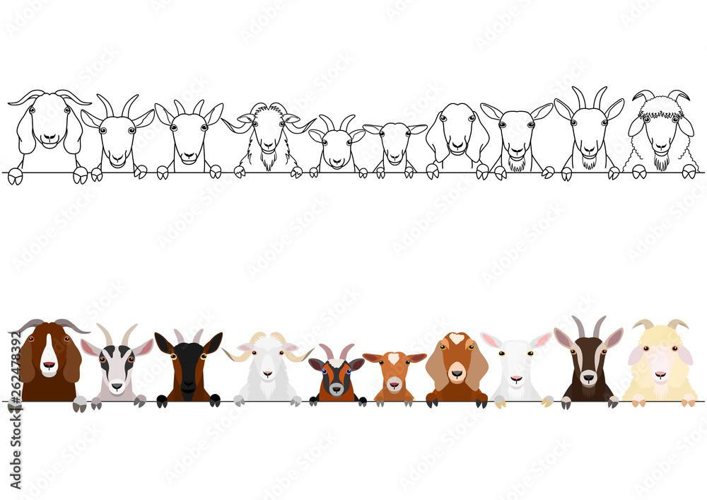 various goats heads border set Stock Vector Adobe Stock