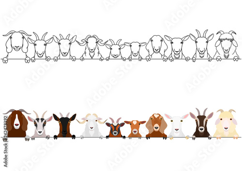 various goats heads border set