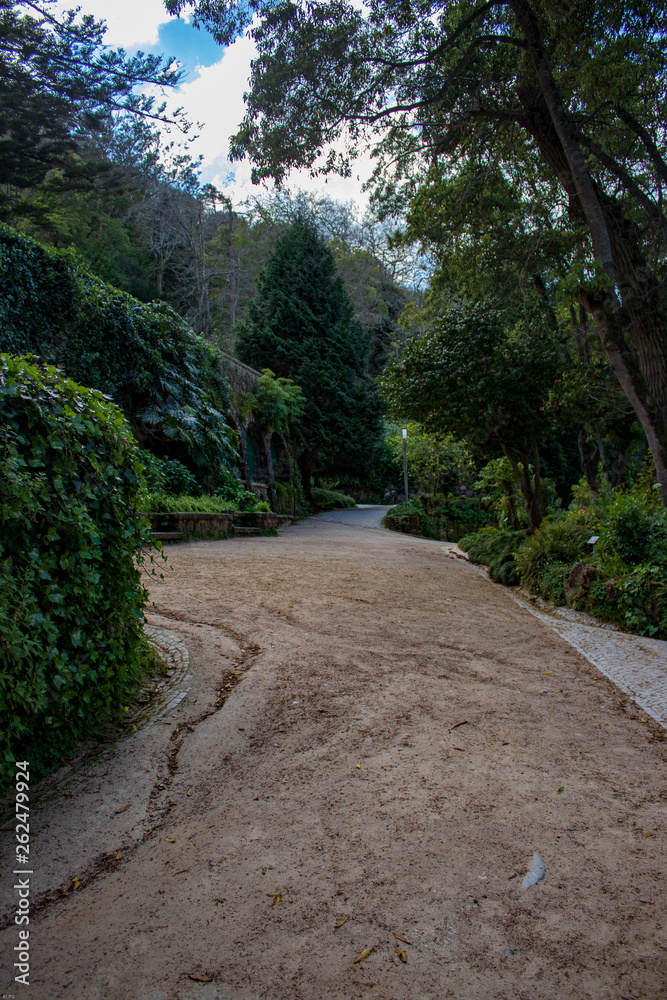 path in the garden surrounded by leafy trees path in the garden surrounded by leafy trees