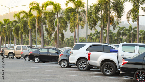 Closeup of rear, back side of black car and  other cars parking in outdoor parking lot with natural background in twilight evening.  © Amphon
