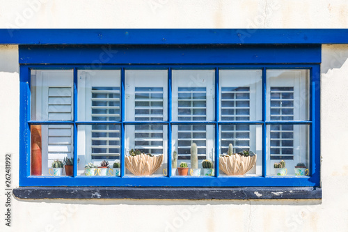 Fensterdekoration mit Sprossenfenster und  Kakteen 