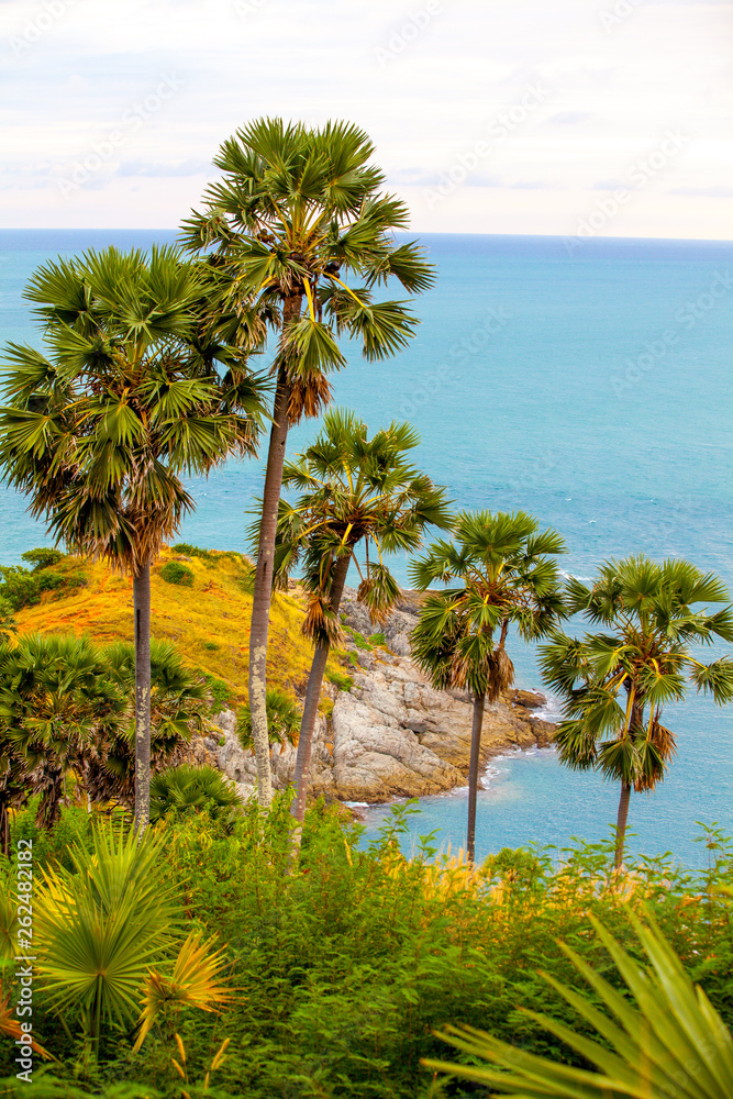 Promthep Cape in Phuket. View of palms and sea.
