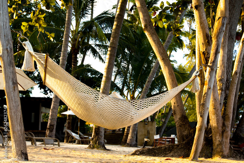 Hammock and palms on the beach. Lipa Noi Beach on Koh Samui. Very wonderful beach.