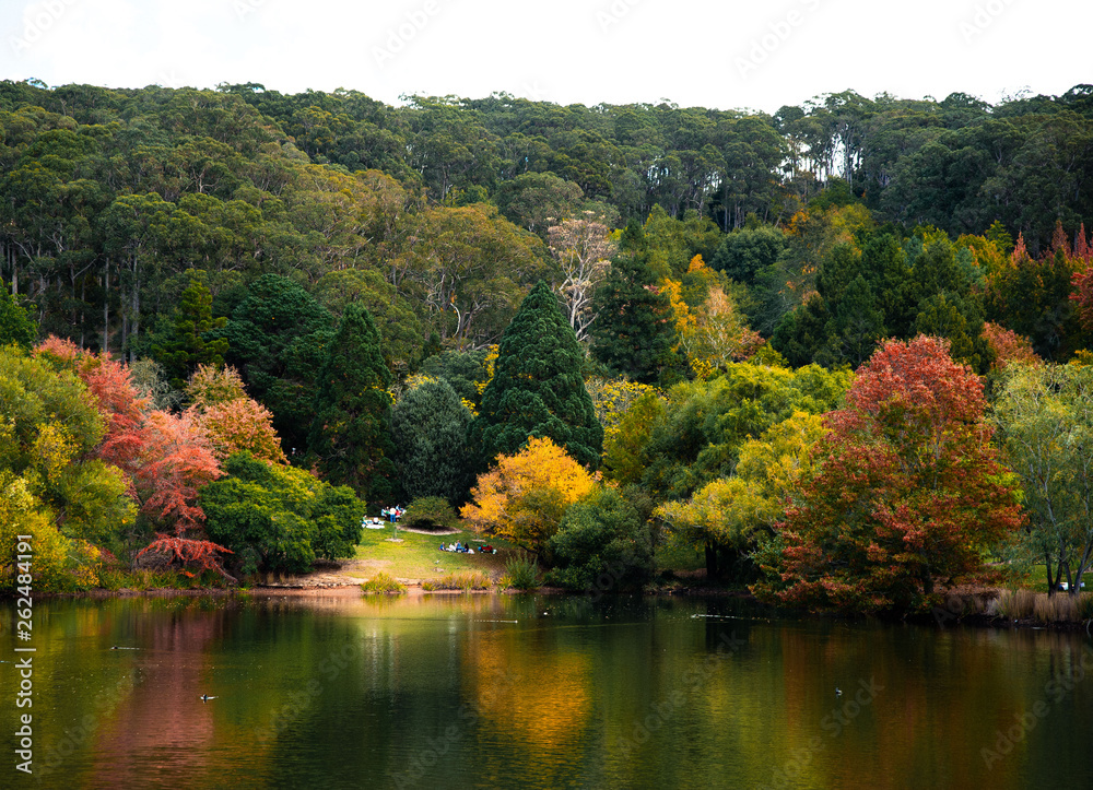Fototapeta premium autumn landscape with lake and trees