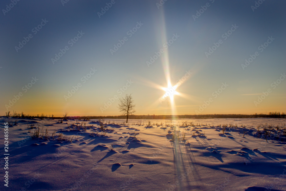 Frozen Sunrise