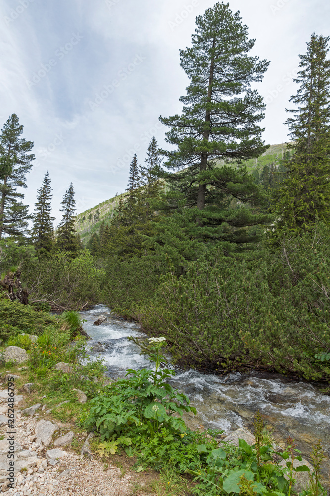 Obraz premium Landscape from hiking trail for Malyovitsa peak, Rila Mountain, Bulgaria