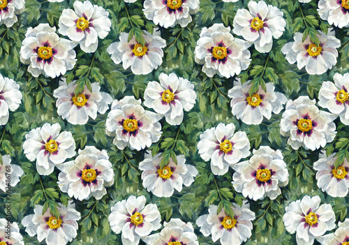 Seamless floral pattern with chinese peony.  © ninanaina