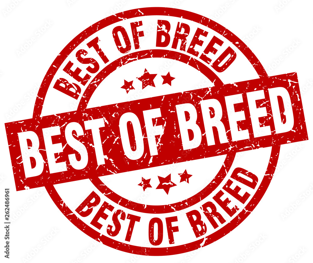 best of breed round red grunge stamp best of breed round red grunge stamp