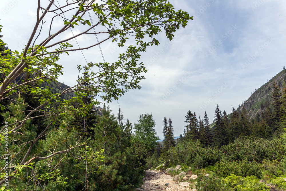 Fototapeta premium Landscape from hiking trail for Malyovitsa peak, Rila Mountain, Bulgaria