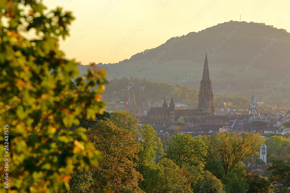 Freiburg goldener Herbst