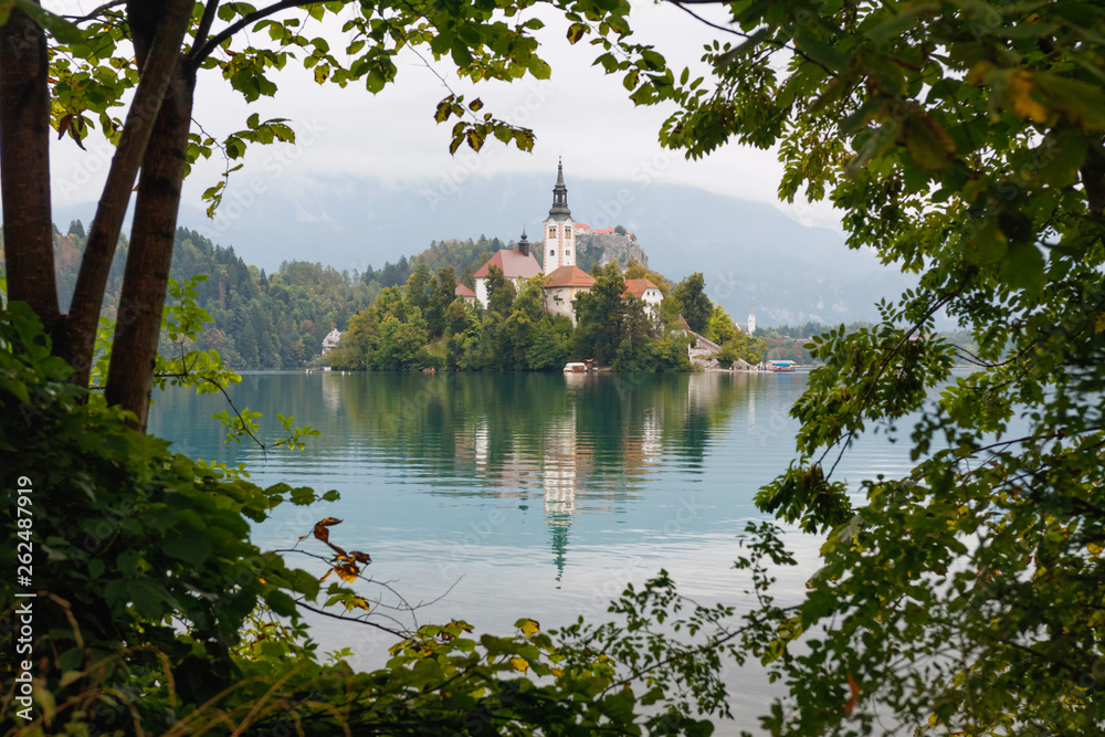Bled Island with pilgrimage church of the Assumption of Mary in natural frame with branches