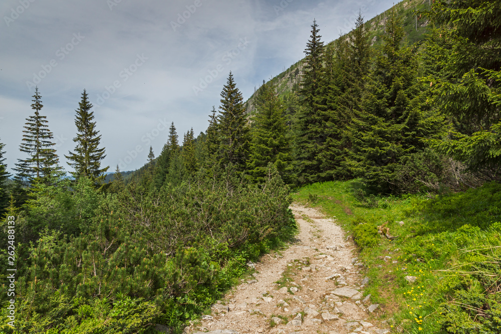 Landscape from hiking trail for Malyovitsa peak, Rila Mountain, Bulgaria Landscape from hiking trail for Malyovitsa peak, Rila Mountain, Bulgaria