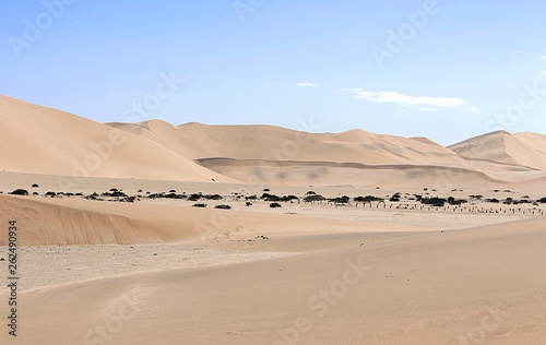 Dune in the namib desert
