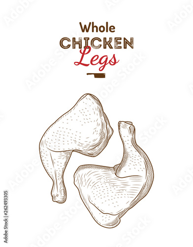 Whole chicken legs vector illustration