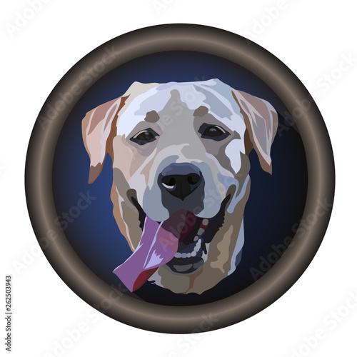 Golden Labrador Retriever.Vector illustration