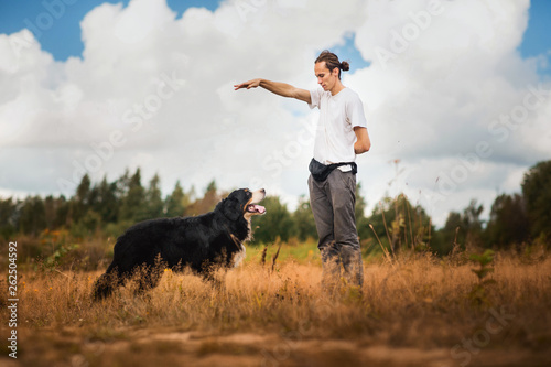 young man walking with Bernese Mountain Dog on the summer field © Alexandr