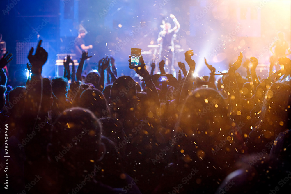 custom made wallpaper toronto digitalCrowd at concert - summer music festival