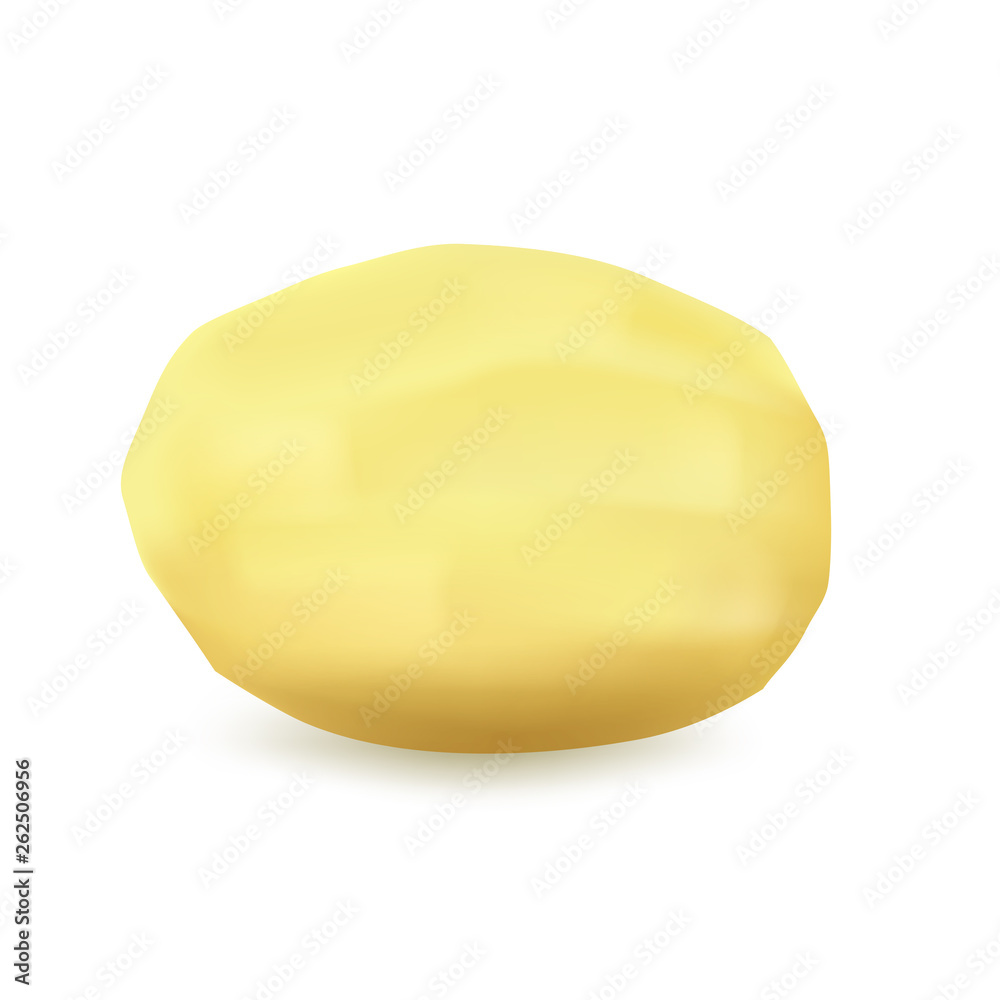 Peeled potatoes on a white background, vector. Peeled potatoes on a white background, vector.