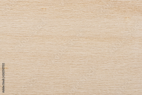Close up on a natural wooden plank as abstract background. Copy space for your text.