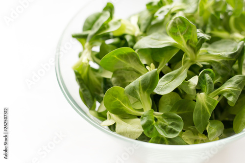 Fresh green Corn salad leaves or lamb s lettuce in bowl. Top view  lamb s lettuce isolated on white background