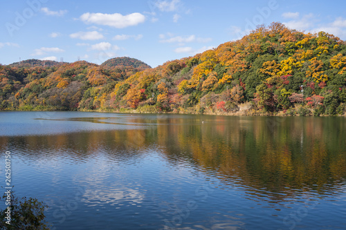 秋の湖 紅葉した山