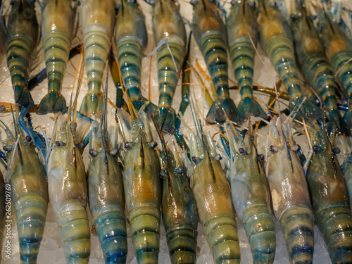 Closeup detail of rows of fresh whiteleg shrimp, also known as the king prawn, on ice at a restaurant buffet. Bangkok, Thailand. Travel and cuisine.
