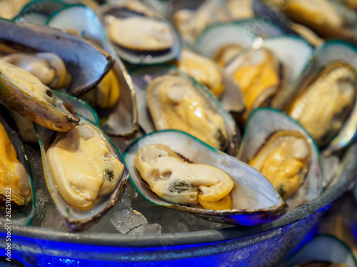 Closeup macro detail of a bowl of boiled green-lipped New Zealand Mussels on a bed of ice at a hotel seafood buffet. Bangkok, Thailand. Travel and seafood cuisine.