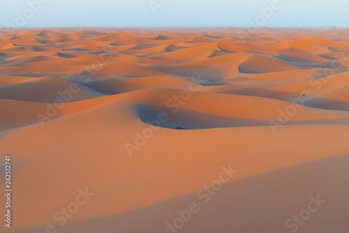 Sunrise on sand dunes, Sahara Sand dunes africa morocco
