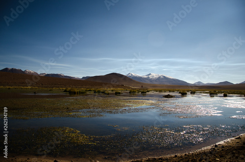 Travel to Santiago and Atacama Desert