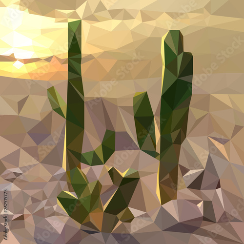 several cacti on the background of the sunset in the desert, evening landscape,multicolored mosaic,triangulation