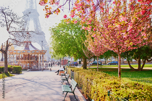 Photography Scenic view of the Eiffel tower with cherry blossom