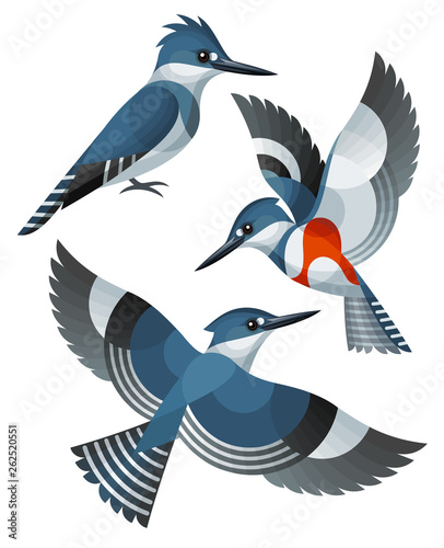 Stylized Birds - Belted Kingfisher