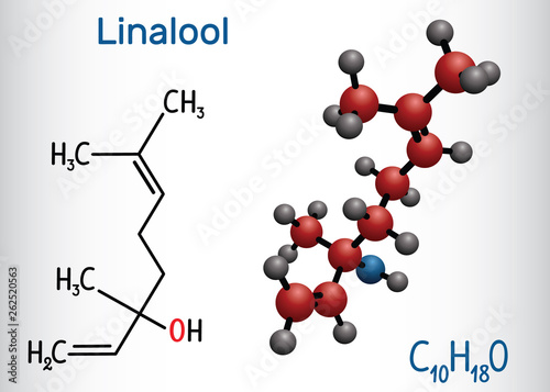 Linalool  molecule. Structural chemical formula and molecule model photo