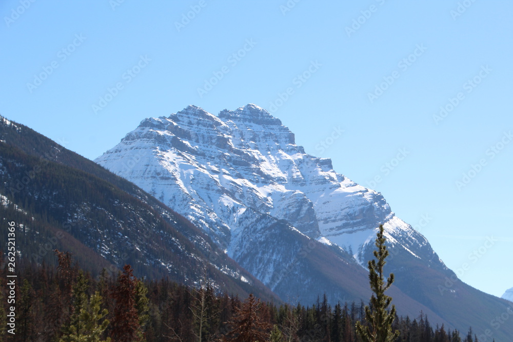 Spectacular Mountain, Jasper National Park, Alberta