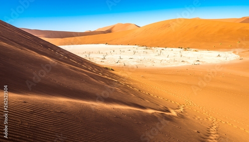 Red sand dunes in Deadvlei, Sossusvlei, Namib-Naukluft National Park, Namibia