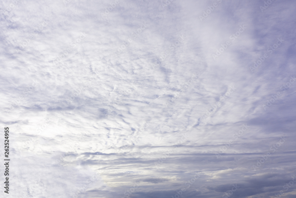 Fototapeta premium World environment day concept: White cloudy and blue sky background