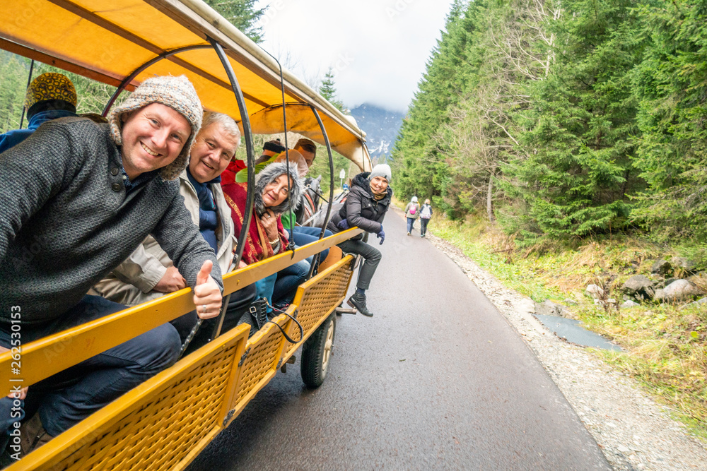 Family enjoying nature from horse drawn carriage, Tatra Mountains National Park, Poland