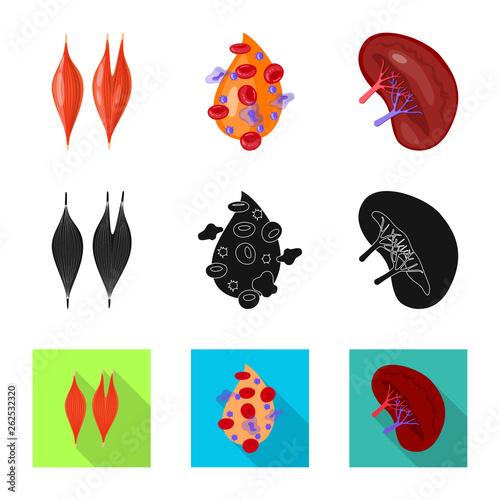 Vector illustration of biology and scientific logo. Set of biology and laboratory stock symbol for web.