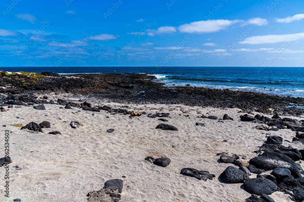 Spain, Lanzarote, White sand between black lava stones at north beach near orzola town Spain, Lanzarote, White sand between black lava stones at north beach near orzola town