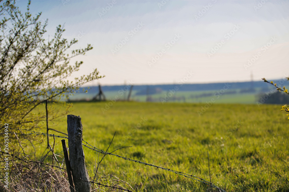 simple landscape with focus in front