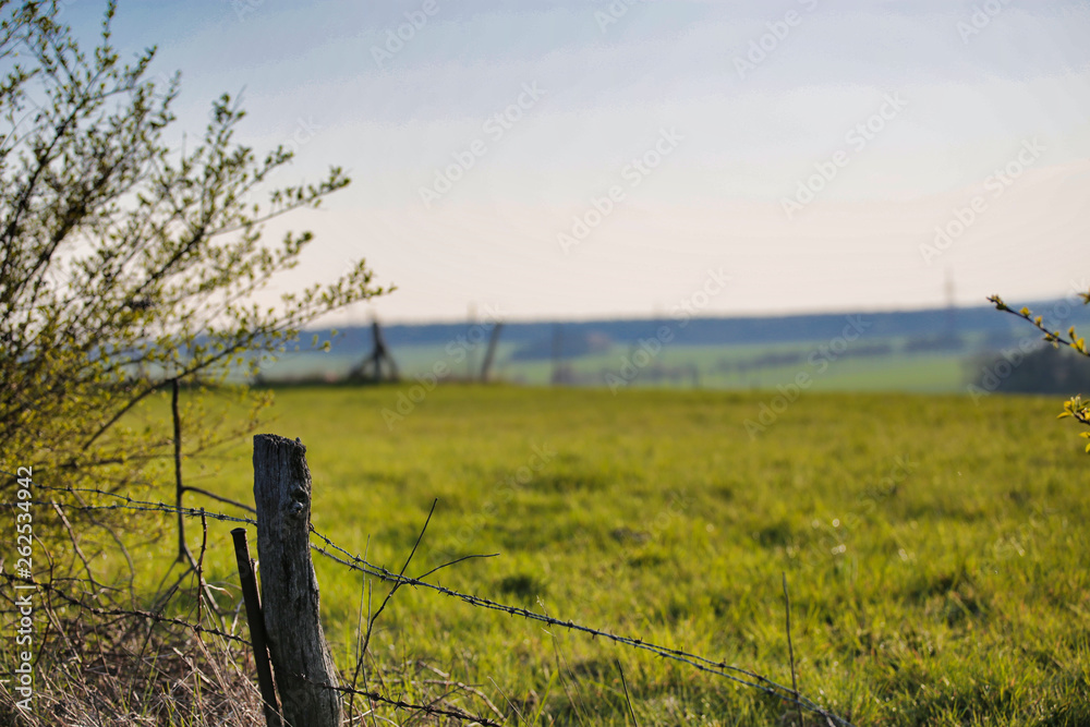 simple landscape with focus in front simple landscape with focus in front